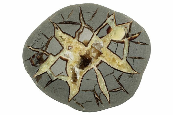 Polished Septarian Nodule Half - Utah #242004